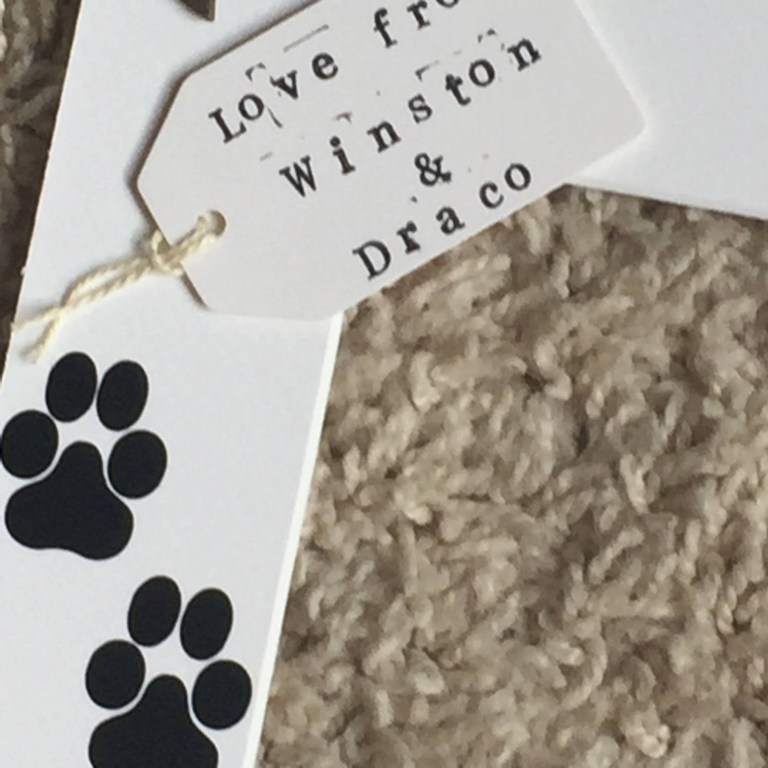 Pet Photo Frame - Daddy's or Mummy's Babies with personalised message, Animal Lover Gift