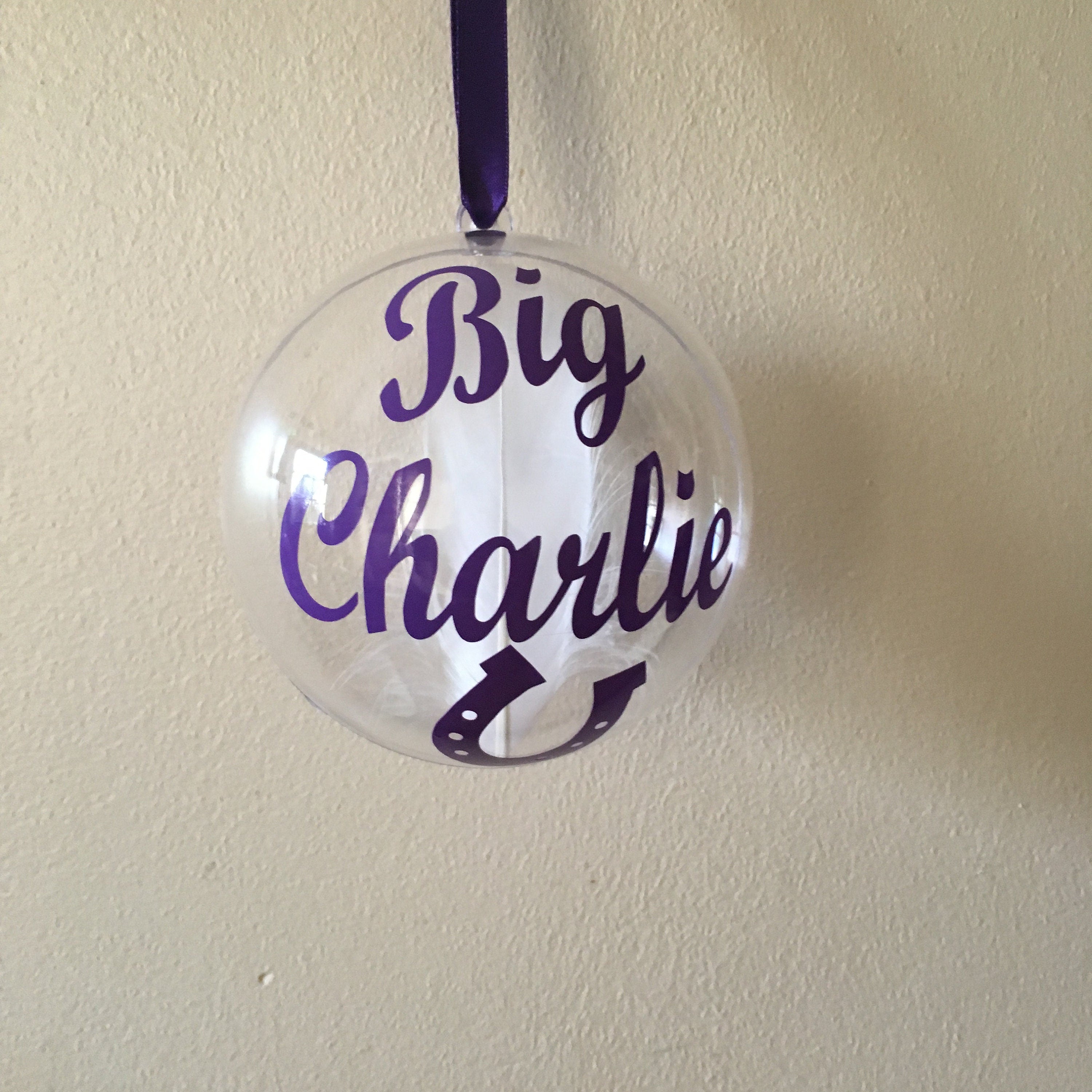 Pet Memorial Christmas Bauble | Personalised Horseshoe and Feather Ornament