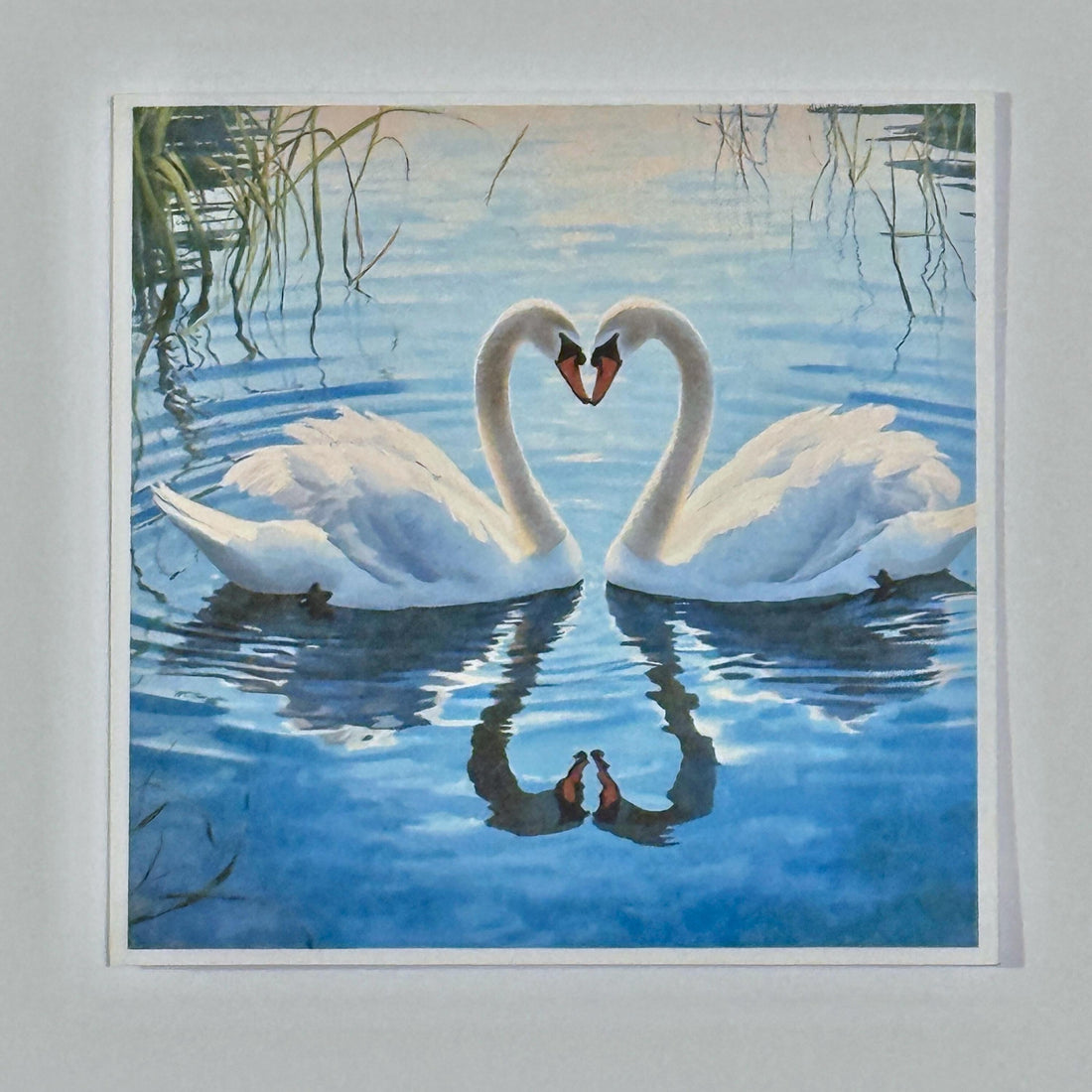Two Swans Heart Valentines Card | Romantic Anniversary Card