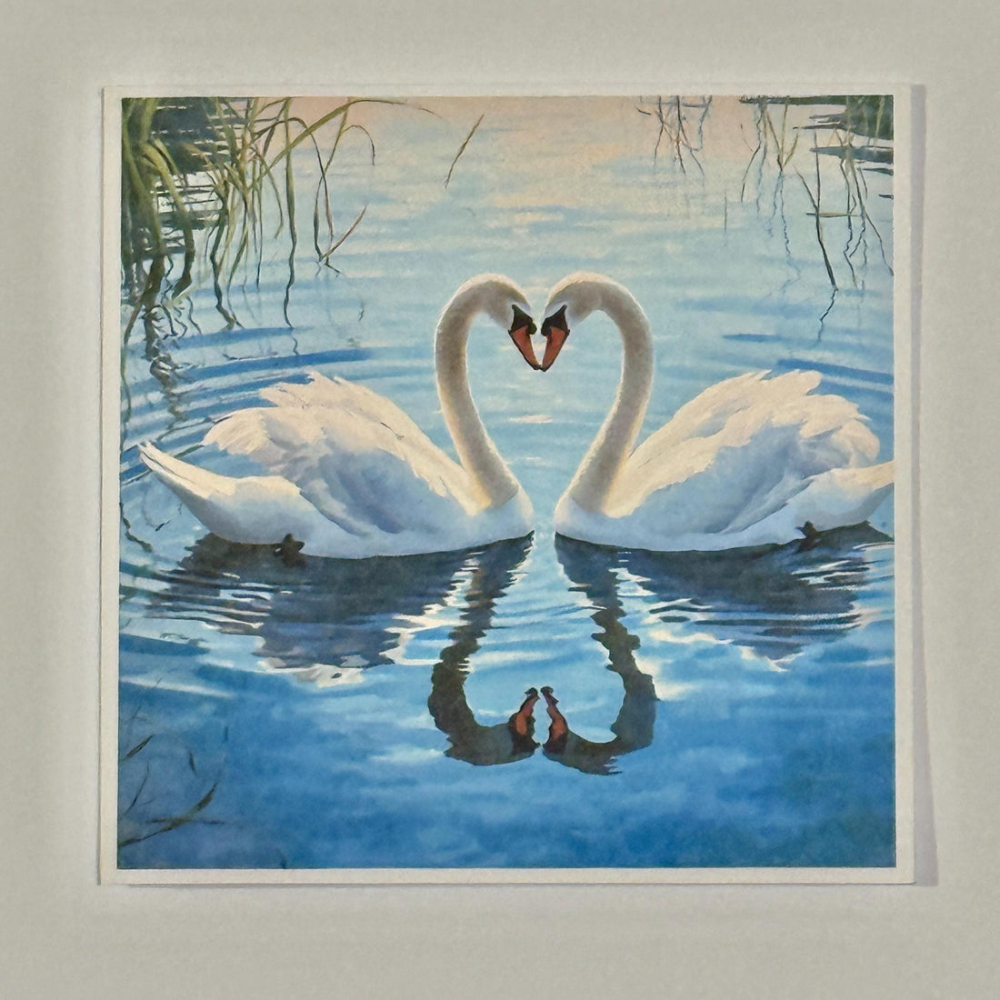 Two Swans Heart Valentines Card | Romantic Anniversary Card